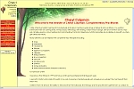 thumbnail of the Cheryl Colpman, complementary practitioner site